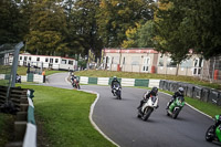 Lower Group Green Bikes